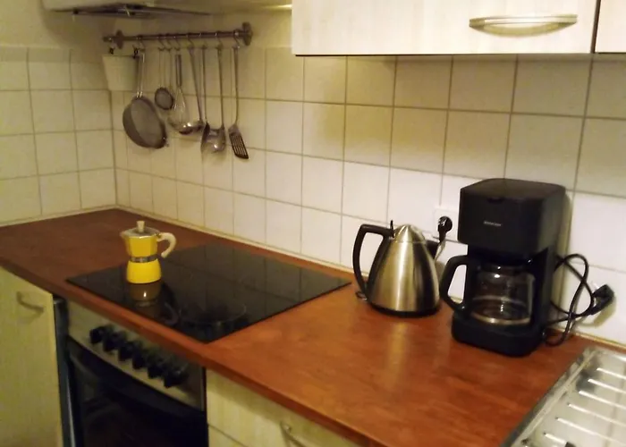 Apartman Schones Feng Shui Loft Uber Den Dachern Der Dresdner Neustadt Drezda