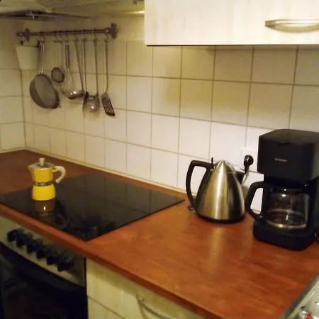 アパート Schones Feng Shui Loft Uber Den Dachern Der Dresdner Neustadt ドレスデン